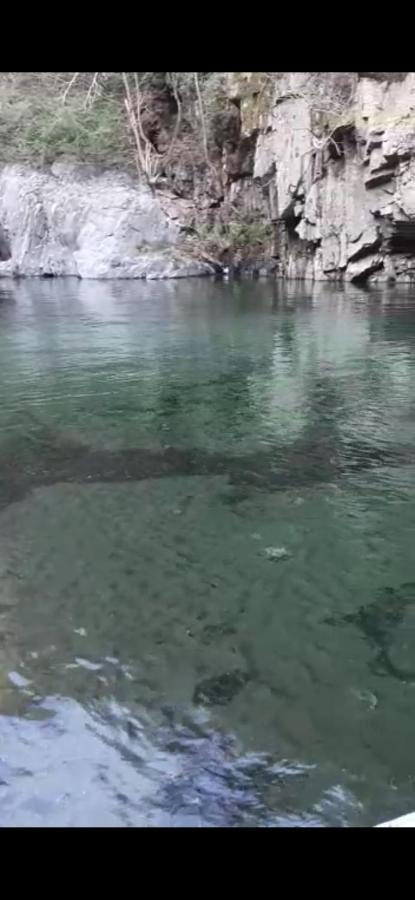 Da Nonna Pina Διαμέρισμα Cossogno Εξωτερικό φωτογραφία